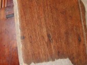 Risultanza di ispezione del legno