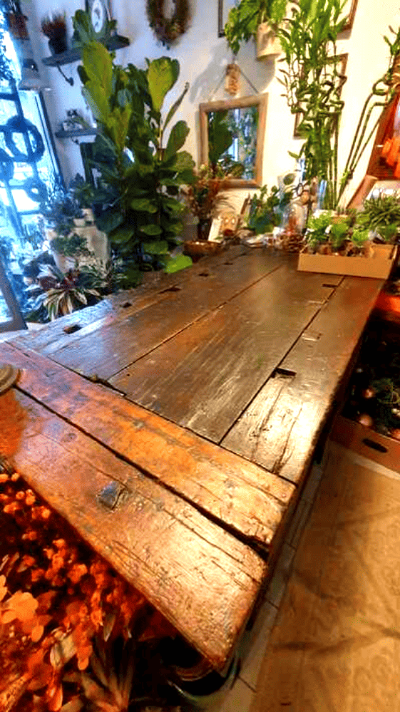 Un banco restaurato da Portantica arreda negozio di fiori